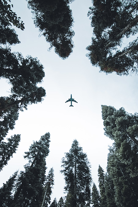 aeroplane-perspective